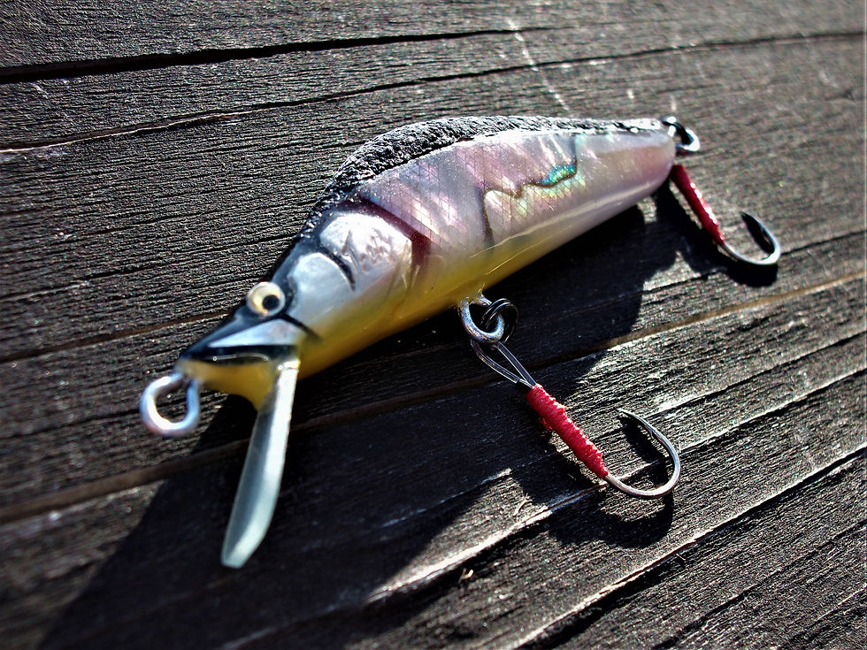 サムネイル： SHELLY