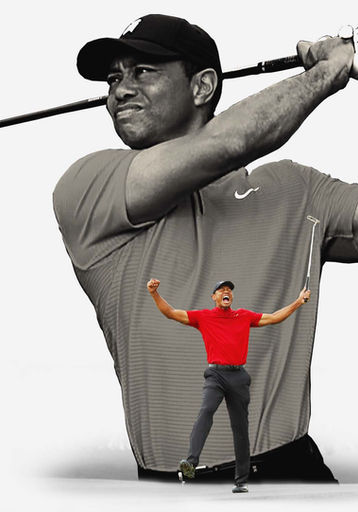 Tiger.jpg