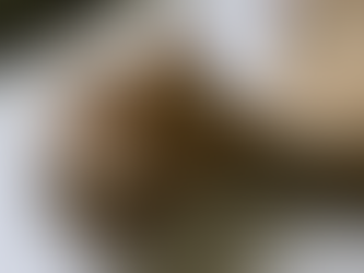 Cheetah mummies found in Arabian caves provide rare genome from a lost population - National Geographic 