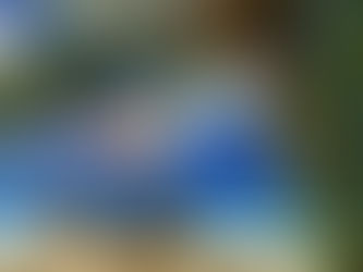 A Blonde’s Perspective: A week away from winter