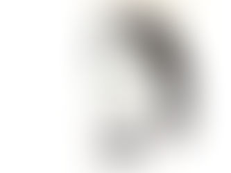 Time Passages: Quiet heroine of Fort Ridgely