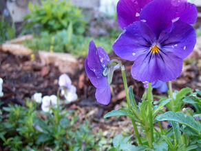 Photo Gallery: June Photos