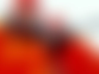 My Perspective: Our first deer hunting experience