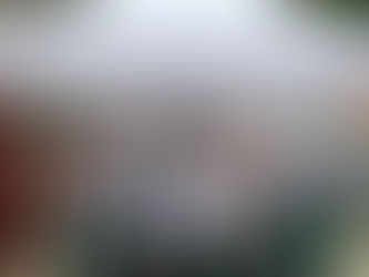 Mission in Haiti: Sharon’s Blog