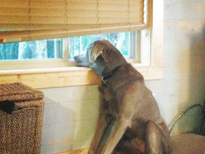 Photo Gallery: September Photos