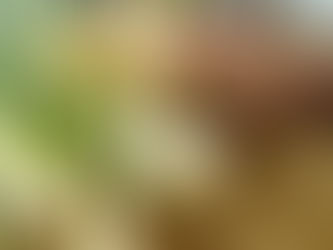 Country Gardens: Storing potatoes and onions