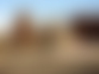 Uptick in conifer mortality is drought-related