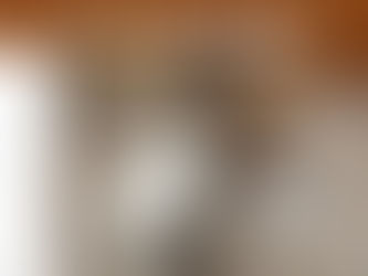 Pet of the week: Kylie