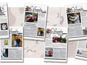 November 2021 Full Papers