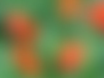 Country Gardens: Get a jump start on your garden