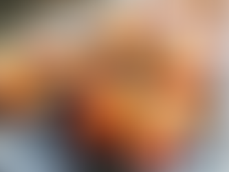 Barbacoa a lo lemons