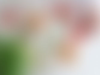 ¿Con qué aceite aliñas tus platos?