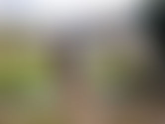 Florece con Fuerza: el reto de 5 semanas para sentirte fuerte de verdad