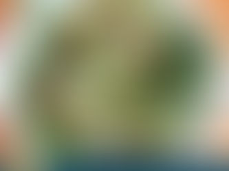 5 cenas rápidas y saludables