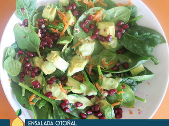 5 cenas rápidas y saludables