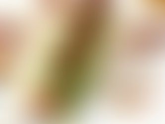 Roll de aguacate | LemonsCHEF