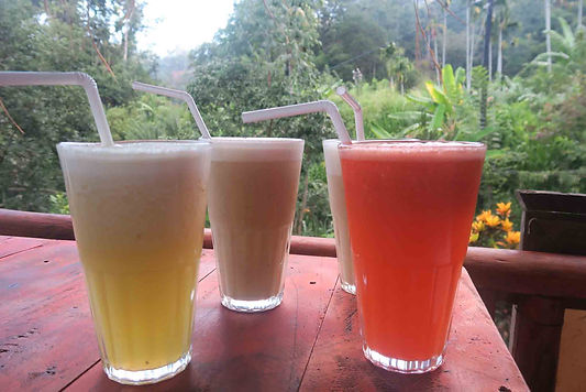 Zumos y batios en Sri Lanka