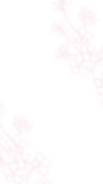 Cherry Blossom Watercolor Instagram Story Background_edited.jpg