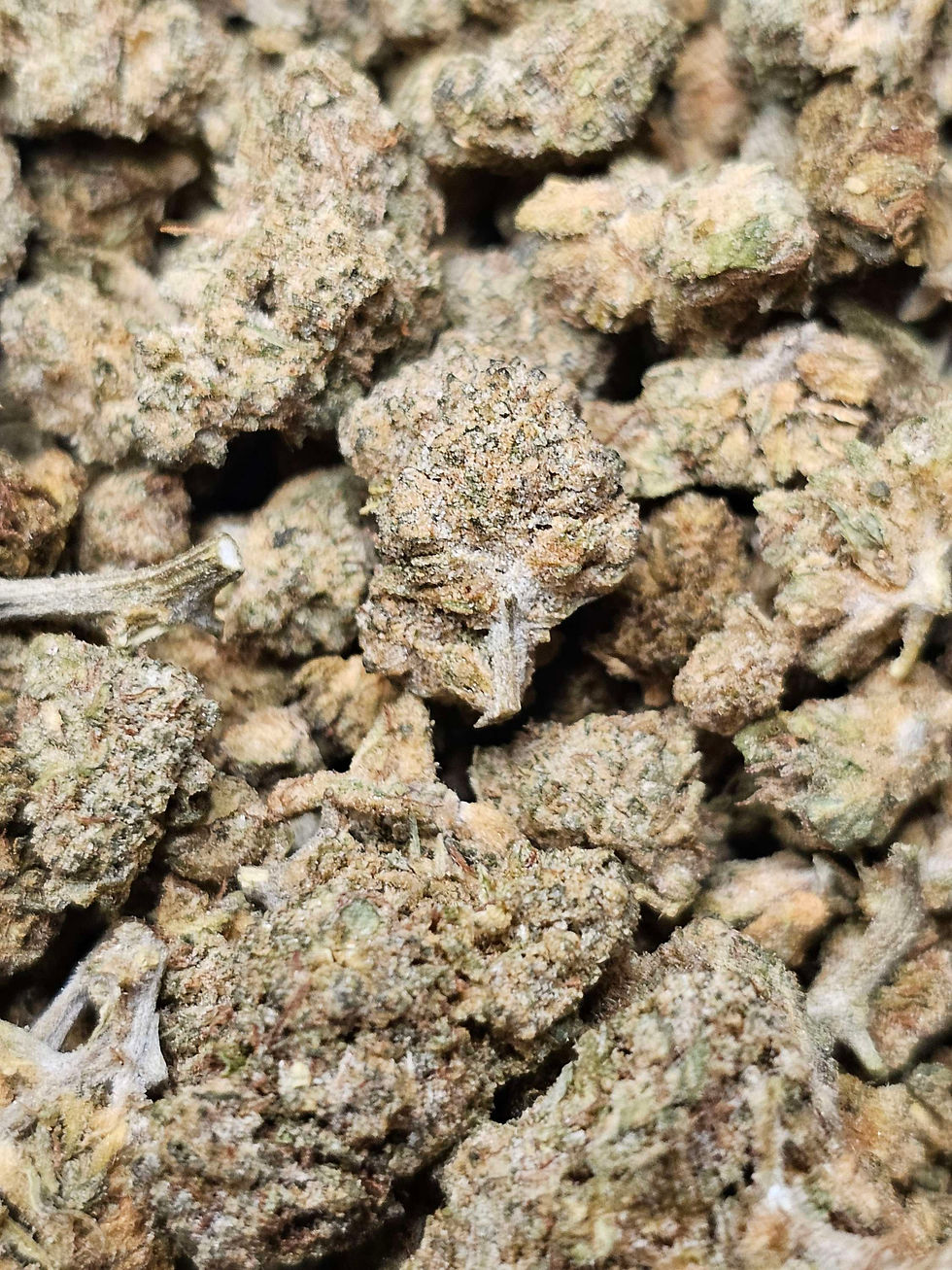 Thumbnail: 🍋 Citron 🌿 | D10/CBD Hemp Flower 🔥
