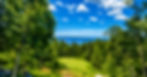 ChatGPT Image May 14, 2026, 05_00_15 PM_edited.jpg