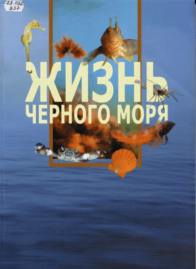 full_20090609_105119.gif