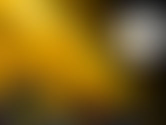 América: ¿Fan o villamelón?