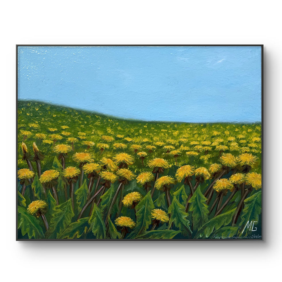 Miniatura: Dandelion's paradise 