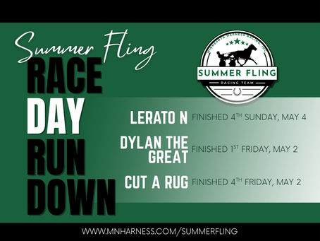 Results For Summer Fling Horses
