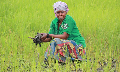 Woman participating in International development agriculture project