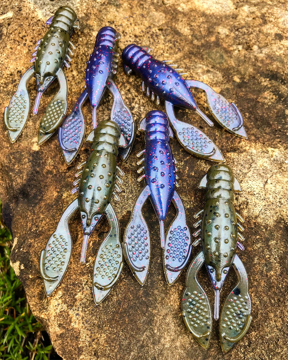 Thumbnail: NED craws