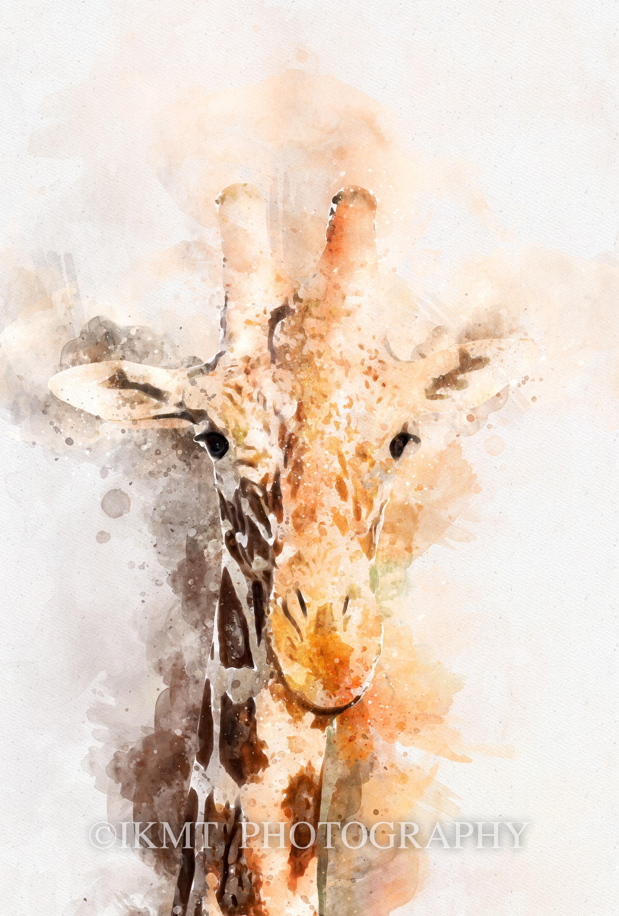 Watercolour Painting from Photo - Eyes of the Savannah