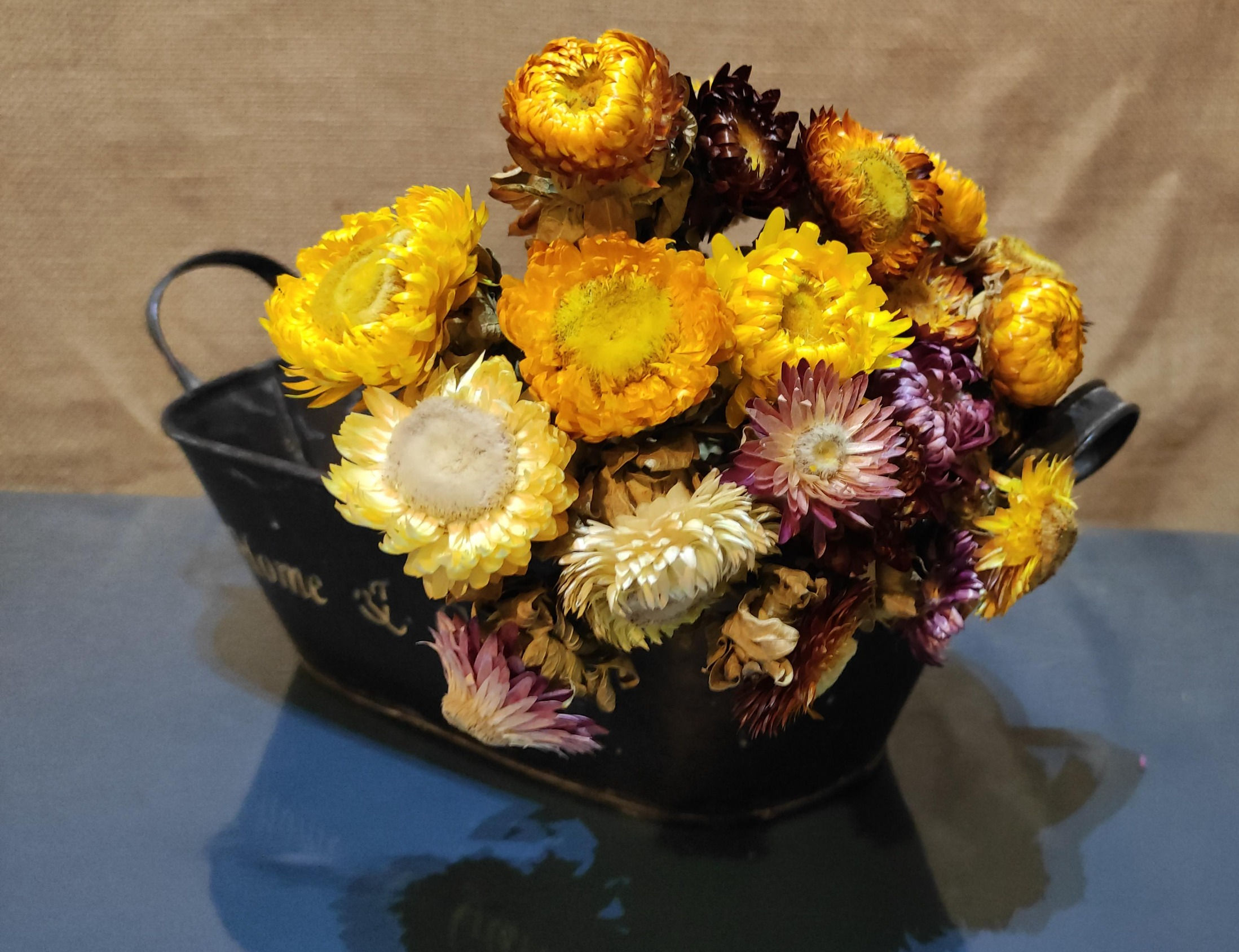 Fleurs séchées Immortelle