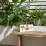 Thumbnail: Mushroom House Wooden Welcome Sign On Garden Table, With Plants