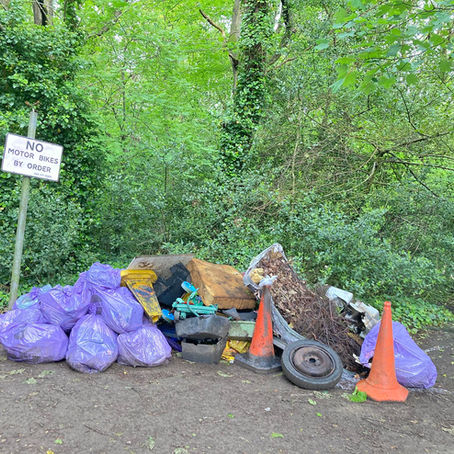 Clayton Wood litter pick