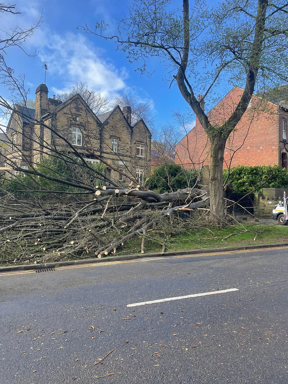 Quick news from the week