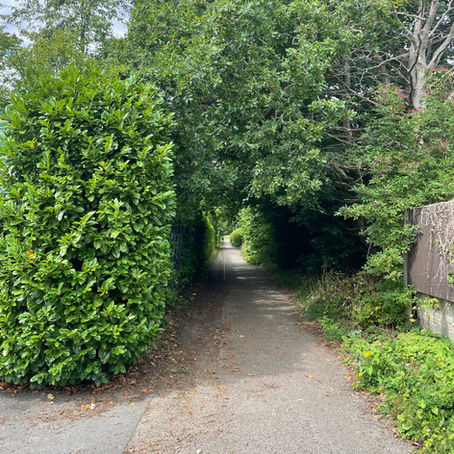 Hedges over hanging pavements?