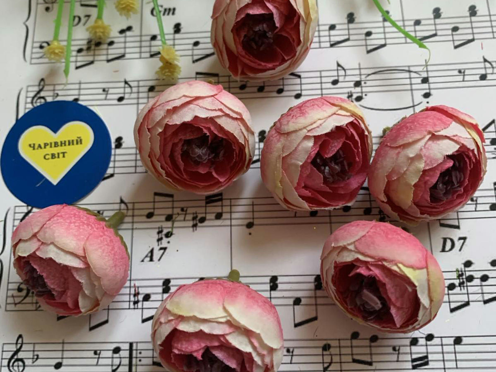 Ранункулюс  розмір 4см 