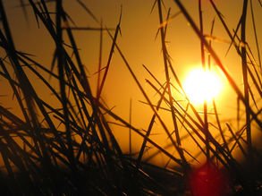 Long, hot days of summer