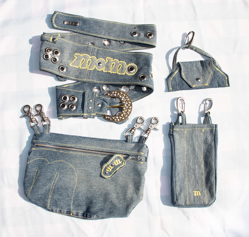 Thumbnail: BELTBAG 019 "the sparkly hippie"