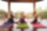 beginners-guide-hatha-yoga(770x513).jpg