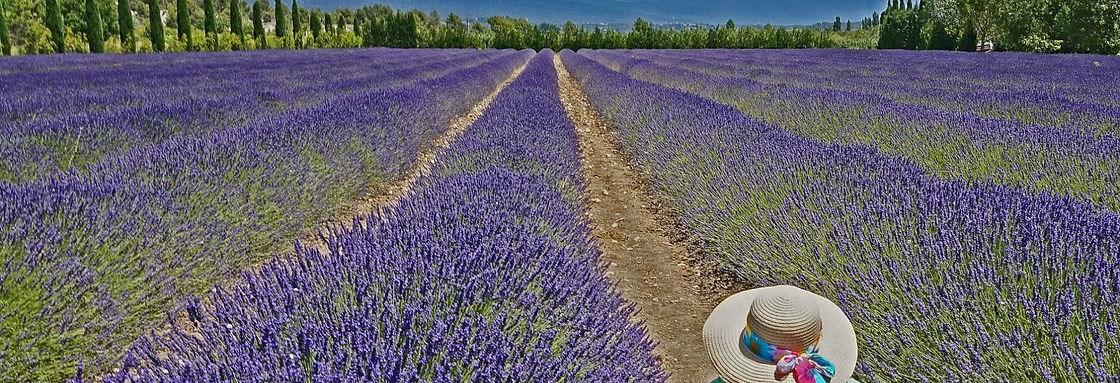 Yvonnes Travel background.jpeg