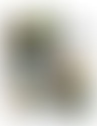 Room Gimmel Celebrates Their First Shabbat Party Together