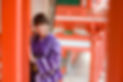IMG_8768.jpeg