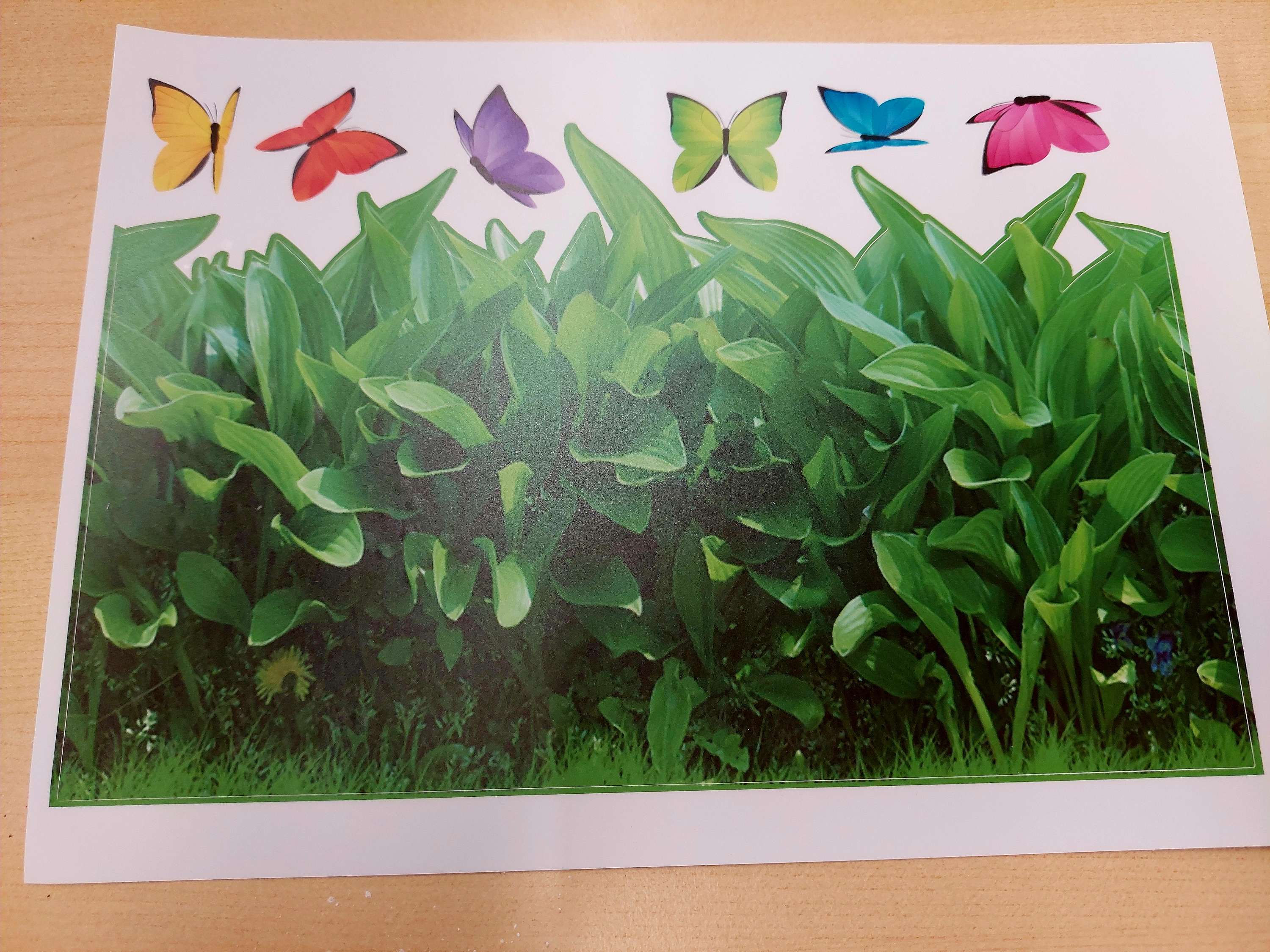 Glass Covering Stickers