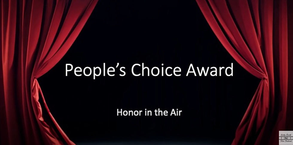 red theater curtain with the words People's Choicer Award: Honor In the Air