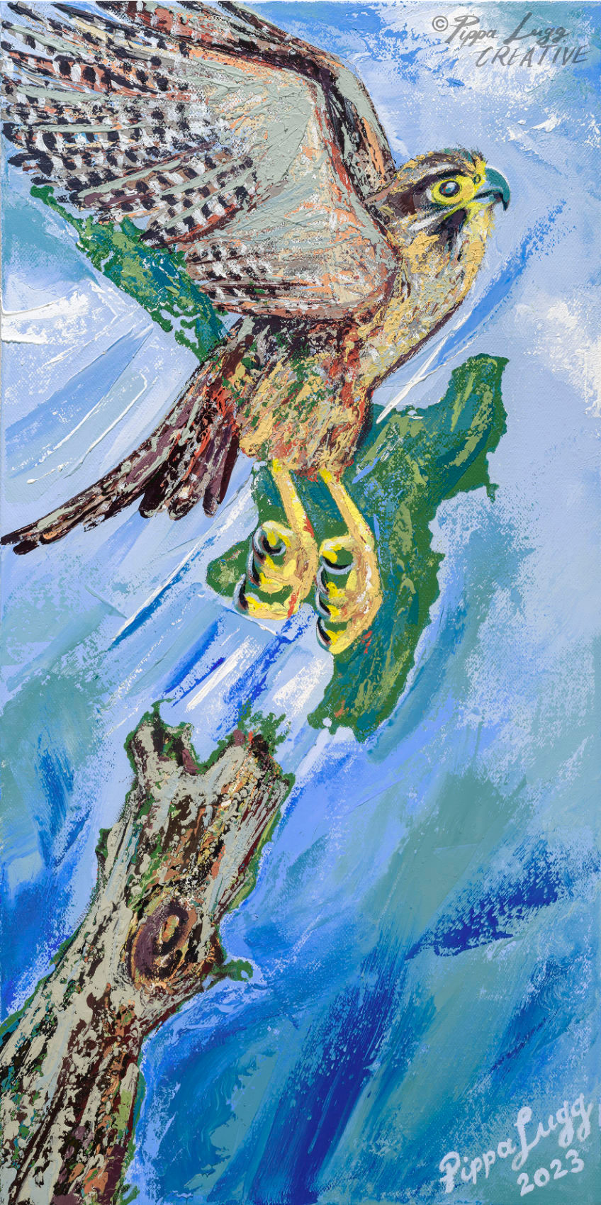 Bird's-Eye View