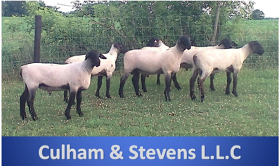 Culham.png.webp