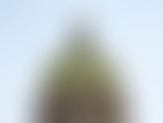 Chiến thắng của phe Dân chủ ở các cơ quan lập pháp tiểu bang sẽ có nhiều ảnh hưởng lâu dài