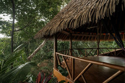 yoga shala