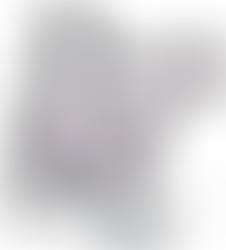 I am a Pokemon Breeder